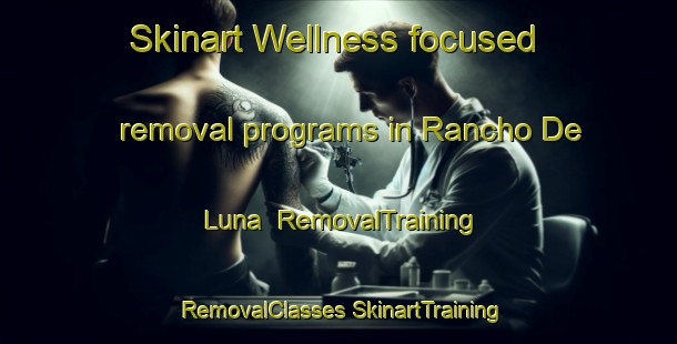 Skinart Wellness-focused removal programs in Rancho De Luna | #RemovalTraining #RemovalClasses #SkinartTraining-Mexico