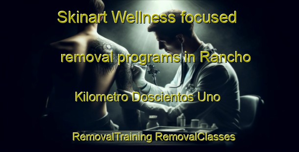 Skinart Wellness-focused removal programs in Rancho Kilometro Doscientos Uno | #RemovalTraining #RemovalClasses #SkinartTraining-Mexico