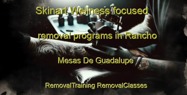 Skinart Wellness-focused removal programs in Rancho Mesas De Guadalupe | #RemovalTraining #RemovalClasses #SkinartTraining-Mexico