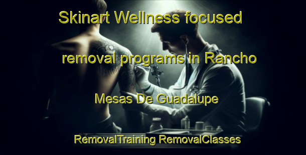 Skinart Wellness-focused removal programs in Rancho Mesas De Guadalupe | #RemovalTraining #RemovalClasses #SkinartTraining-Mexico