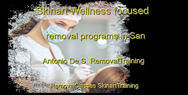 Skinart Wellness-focused removal programs in San Antonio De S | #RemovalTraining #RemovalClasses #SkinartTraining-Mexico