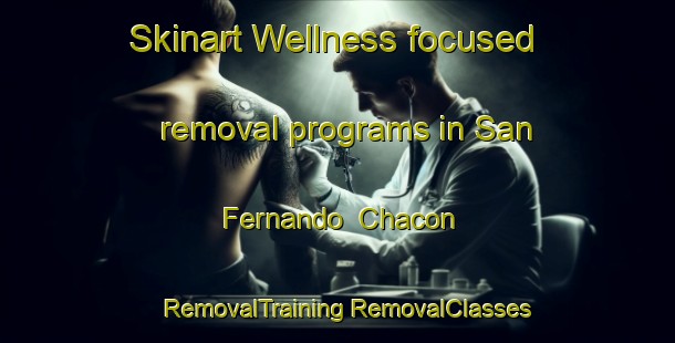 Skinart Wellness-focused removal programs in San Fernando  Chacon | #RemovalTraining #RemovalClasses #SkinartTraining-Mexico