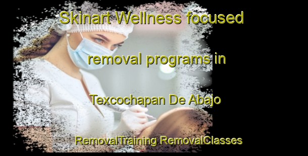 Skinart Wellness-focused removal programs in Texcochapan De Abajo | #RemovalTraining #RemovalClasses #SkinartTraining-Mexico