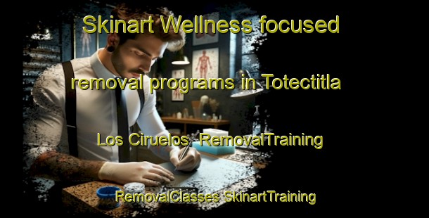 Skinart Wellness-focused removal programs in Totectitla Los Ciruelos | #RemovalTraining #RemovalClasses #SkinartTraining-Mexico