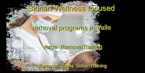 Skinart Wellness-focused removal programs in Valle Verde | #RemovalTraining #RemovalClasses #SkinartTraining-Mexico