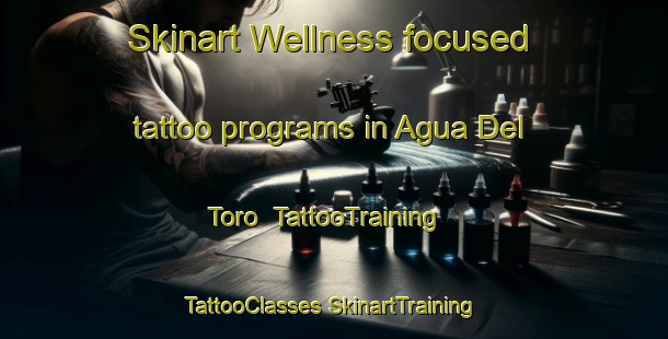 Skinart Wellness-focused tattoo programs in Agua Del Toro | #TattooTraining #TattooClasses #SkinartTraining-Mexico