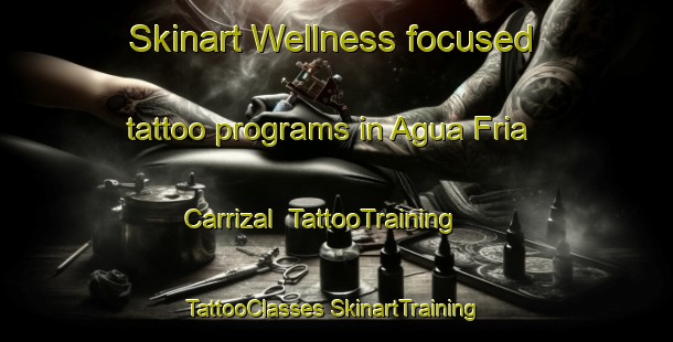 Skinart Wellness-focused tattoo programs in Agua Fria Carrizal | #TattooTraining #TattooClasses #SkinartTraining-Mexico