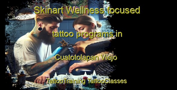 Skinart Wellness-focused tattoo programs in Cuatotolapan Viejo | #TattooTraining #TattooClasses #SkinartTraining-Mexico