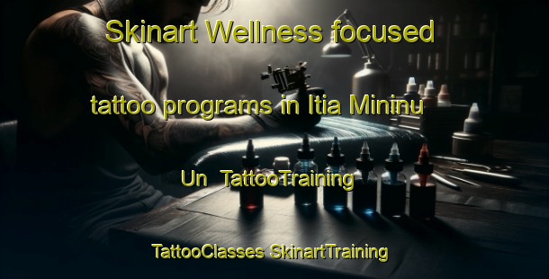 Skinart Wellness-focused tattoo programs in Itia Mininu Un | #TattooTraining #TattooClasses #SkinartTraining-Mexico