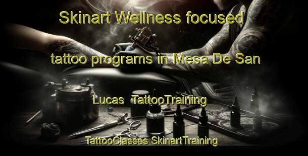 Skinart Wellness-focused tattoo programs in Mesa De San Lucas | #TattooTraining #TattooClasses #SkinartTraining-Mexico