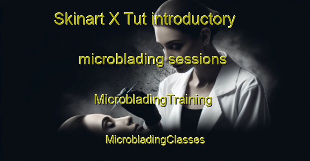 Skinart X Tut introductory microblading sessions | #MicrobladingTraining #MicrobladingClasses #SkinartTraining-Mexico