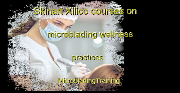 Skinart Xilico courses on microblading wellness practices | #MicrobladingTraining #MicrobladingClasses #SkinartTraining-Mexico