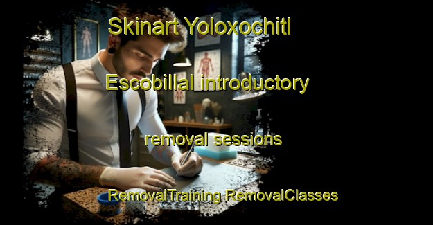 Skinart Yoloxochitl  Escobillal introductory removal sessions | #RemovalTraining #RemovalClasses #SkinartTraining-Mexico