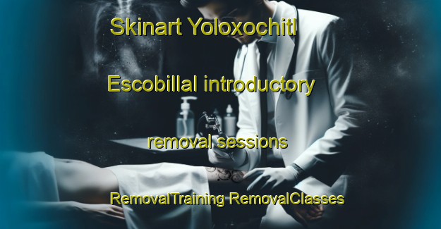 Skinart Yoloxochitl  Escobillal introductory removal sessions | #RemovalTraining #RemovalClasses #SkinartTraining-Mexico