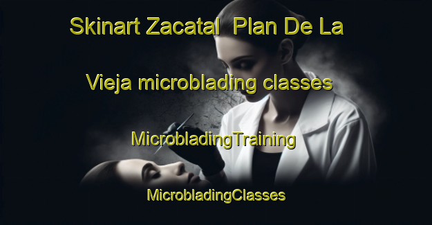 Skinart Zacatal  Plan De La Vieja microblading classes | #MicrobladingTraining #MicrobladingClasses #SkinartTraining-Mexico