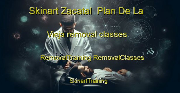 Skinart Zacatal  Plan De La Vieja removal classes | #RemovalTraining #RemovalClasses #SkinartTraining-Mexico